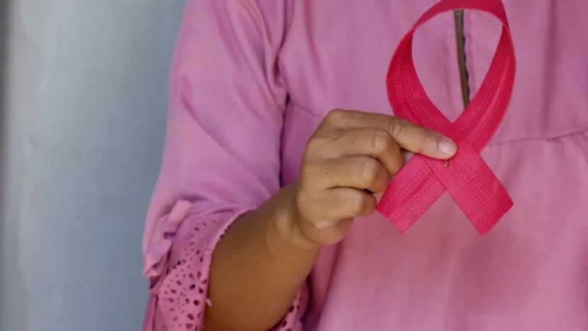 KILASAN: Inisiatif bersama CDC Timur Laut, SingHealth galak wanita periksa awal barah payudara; Bank Negara M'sia tekankan ekonomi domestik bukan punca ringgit melemah; Belia dipelawa serah idea huraikan isu perbandaran KILASAN: Inisiatif bersama CDC Timur Laut, SingHealth galak wanita periksa awal barah payudara; Bank Negara M'sia tekankan ekonomi domestik bukan punca ringgit melemah; Belia dipelawa serah idea huraikan isu perbandaran