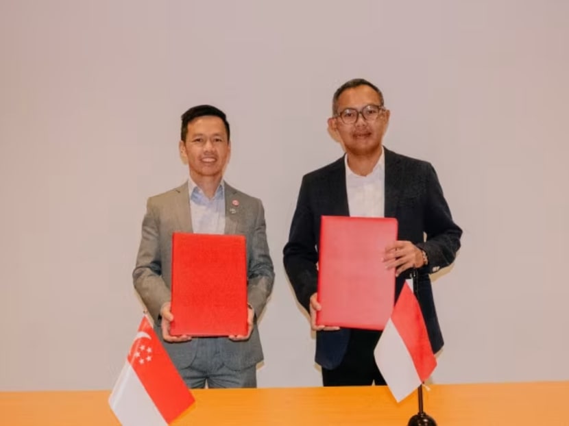 Indonesia, Singapore sign outline pledge on carbon storage