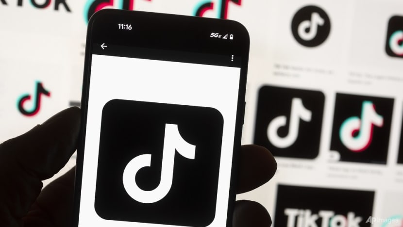 China criticises possible US plan to force TikTok sale