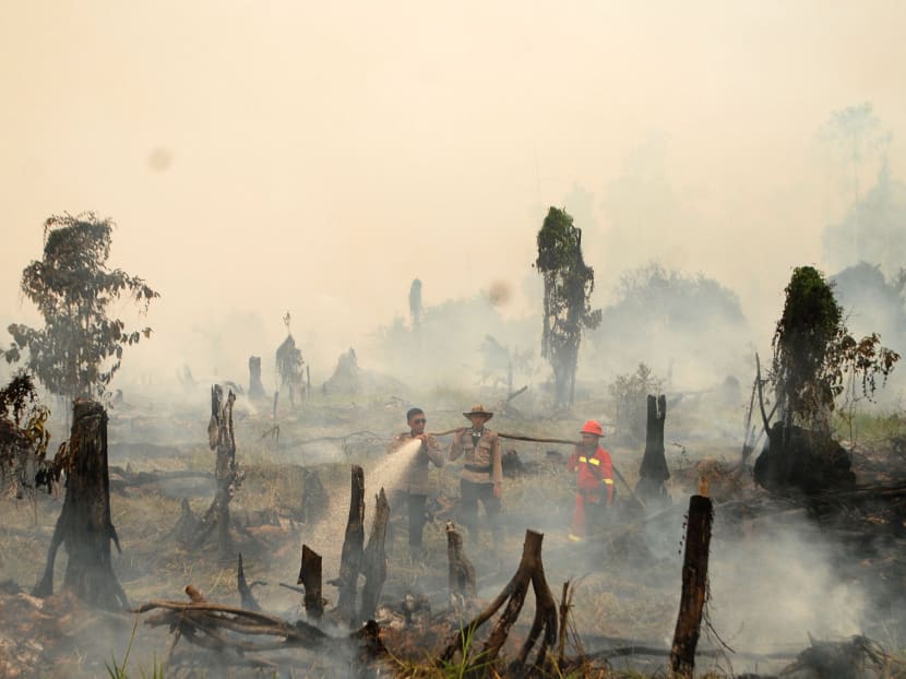 Police and a fire fighter from a local forestry company try to extinguish a forest fire in the village in Rokan Hulu regency, Riau province, Sumatra, Indonesia August 28, 2016 in this photo taken by Antara Foto. Photo: Reuters