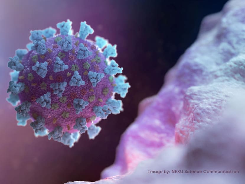 A computer image, created by Nexu Science Communication together with Trinity College in Dublin, shows a model structurally representative of a betacoronavirus, which is the type of virus linked to Covid-19. A computer image, created by Nexu Science Communication together with Trinity College in Dublin, shows a model structurally representative of a betacoronavirus, which is the type of virus linked to Covid-19.