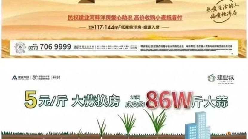 Desperate Chinese property developer willing to 'swap wheat for house' Desperate Chinese property developer willing to 'swap wheat for house'