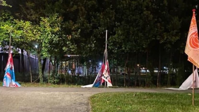 Lelaki diberkas dipercayai rosakkan bendera S'pura dan sepanduk di Punggol