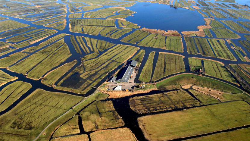 Fending off the floods – 5 things to know about polders and how they could work in Singapore Fending off the floods – 5 things to know about polders and how they could work in Singapore