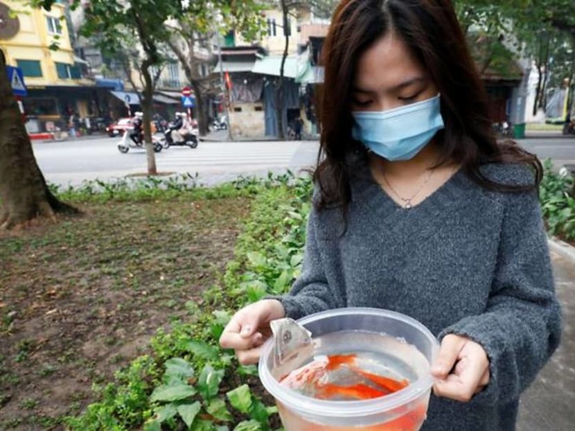 Carp diem: Vietnamese mark Lunar New Year with annual fish release Carp diem: Vietnamese mark Lunar New Year with annual fish release