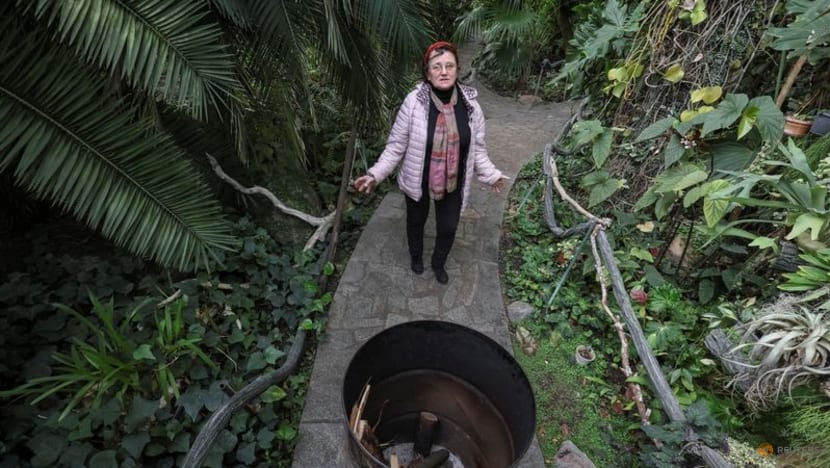 The struggle to save the tropical plants of Kyiv's Botanical Garden The struggle to save the tropical plants of Kyiv's Botanical Garden