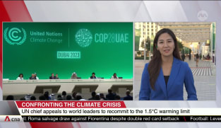Talks at COP28 summit in last push to determine fate of fossil fuels | Video