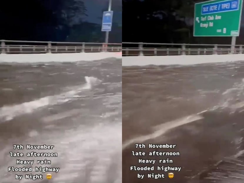 In a 17-second video that was shared by TikTok user bxw_vezel21 on Monday, a motorist plying the road filmed what appears to be a section of the BKE flooded.