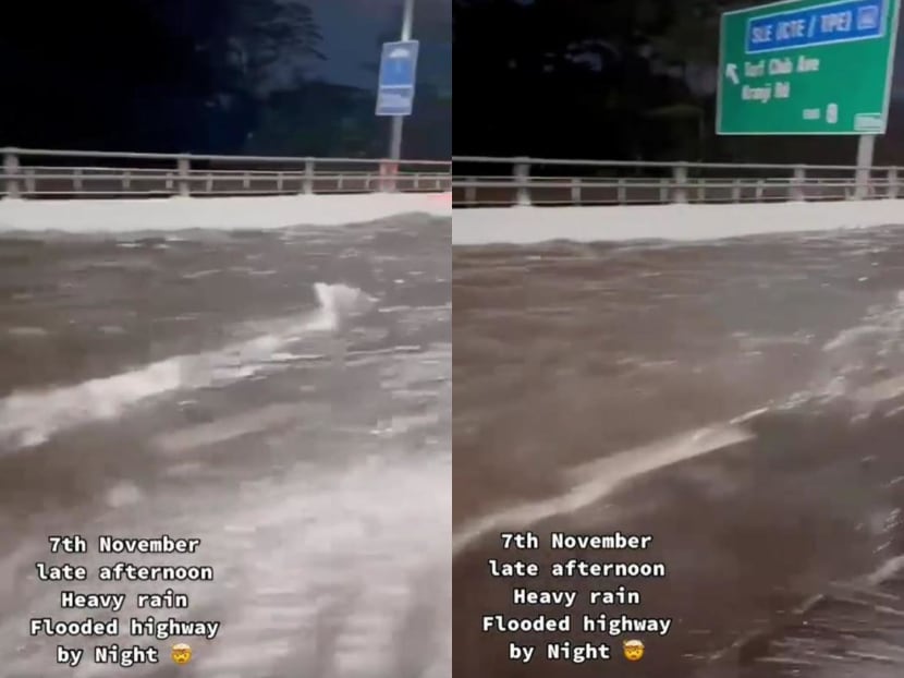 In a 17-second video that was shared by TikTok user bxw_vezel21 on Monday, a motorist plying the road filmed what appears to be a section of the BKE flooded. In a 17-second video that was shared by TikTok user bxw_vezel21 on Monday, a motorist plying the road filmed what appears to be a section of the BKE flooded.