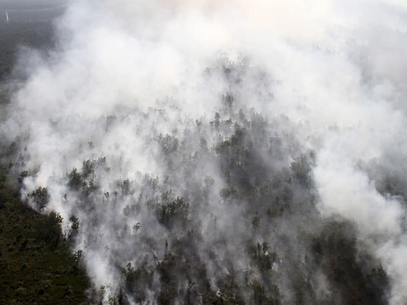 A forest fire is seen from a helicopter belonging to Indonesia's National Disaster Management Agency (BNPB) in Tulung Selapan district, South Sumatra, Indonesia, July 27, 2015 in this photo taken by Antara Foto. Photo: Reuters