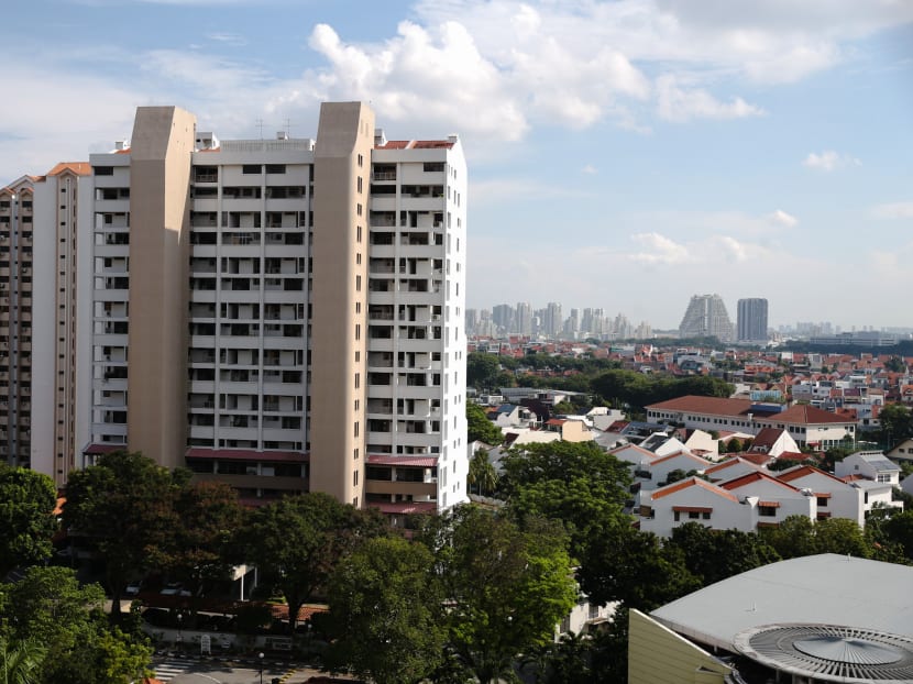 The Big Read Property cooling measures — examining the case for a