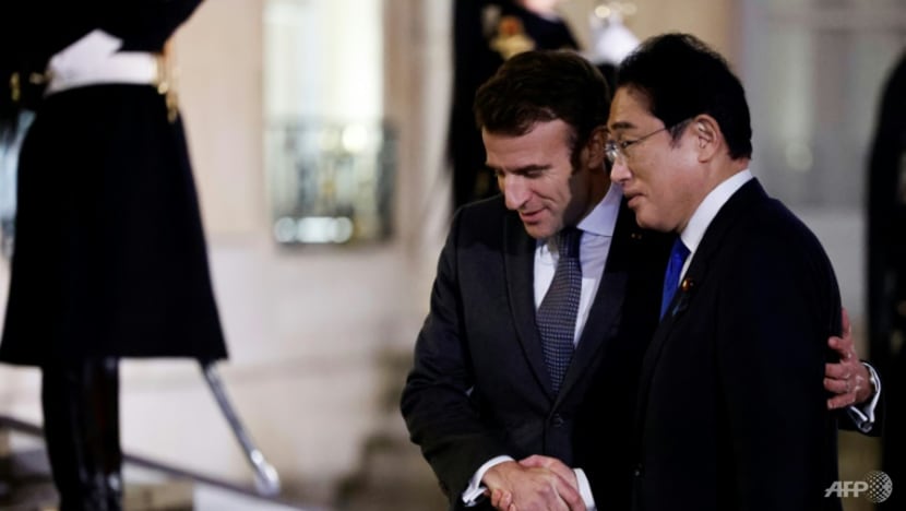 Japan, France vow more security cooperation in Asia-Pacific Japan, France vow more security cooperation in Asia-Pacific
