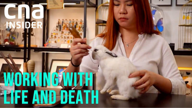 life & deat h with pets