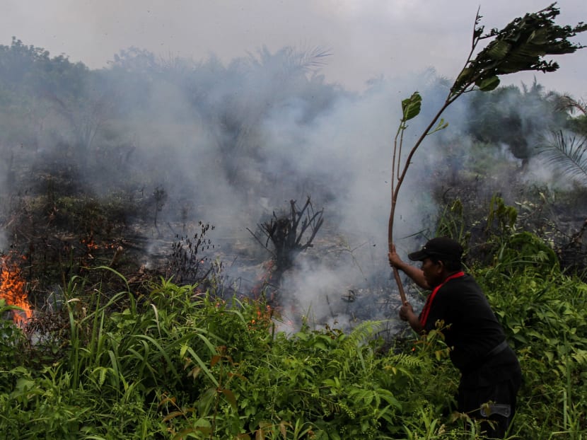 A man puts out a fire using a tree branch at a fire field in Pekanbaru, Indonesia's Riau province, January 18, 2017  in this photo taken by Antara Foto.  Photo: Antara Foto via Reuters