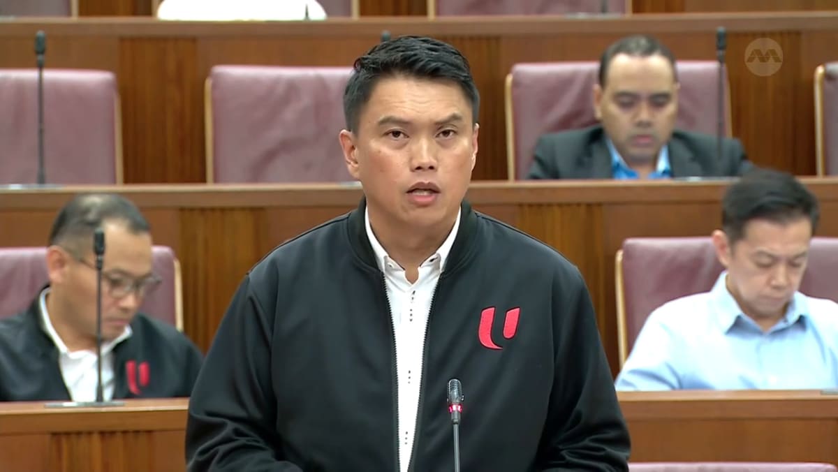 Budget 2024 debate: Patrick Tay on financial support for the involuntarily unemployed - Vimarsana News