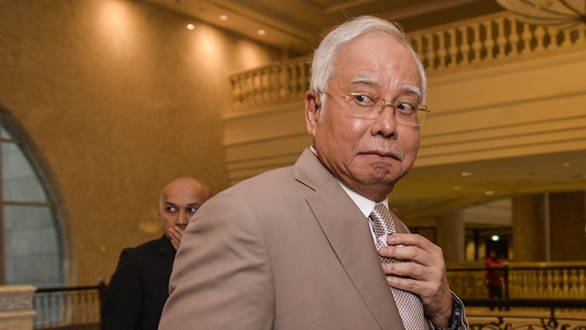 Najib backs 'live' broadcast of trial, says public have right to 