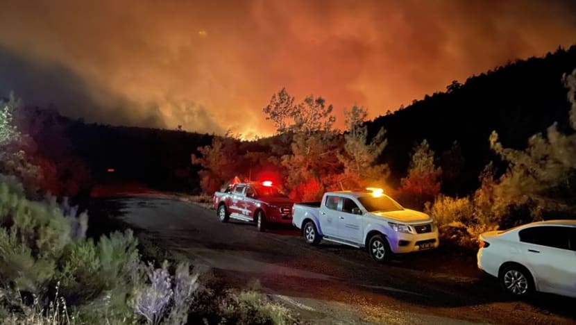 Hutan Turki terbakar; musim panas lebih teruk berbanding tahun lalu