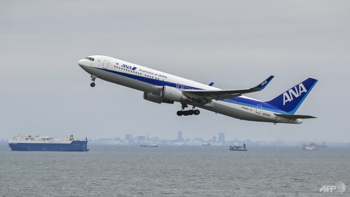 ANA to cancel tickets erroneously sold at bargain prices; first, business class bookings affected ANA to cancel tickets erroneously sold at bargain prices; first, business class bookings affected