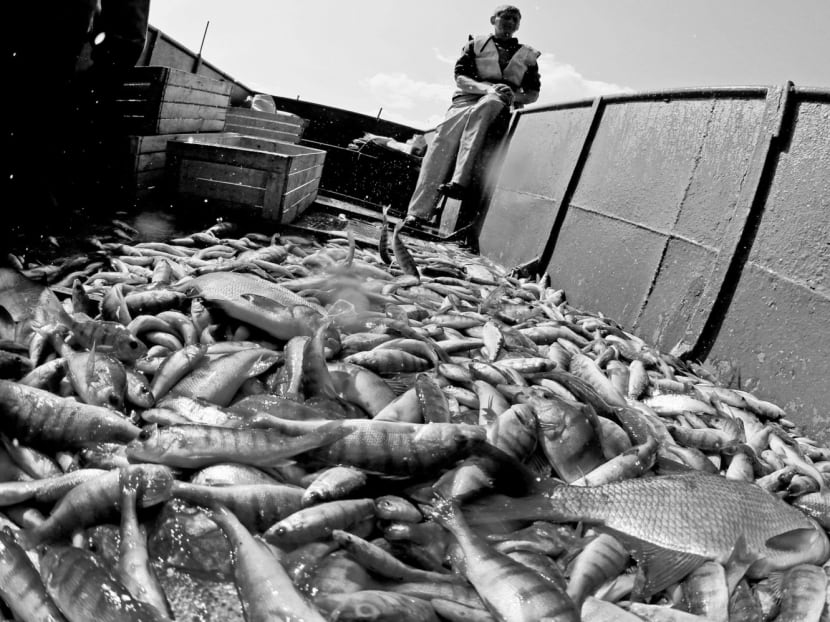 ‘Protected’ does not mean fishing is entirely banned. Increasingly, governments are encouraging sustainable fishing. However, illegal and unregulated fishing continues in waters far beyond national boundaries. Photo: REUTERS