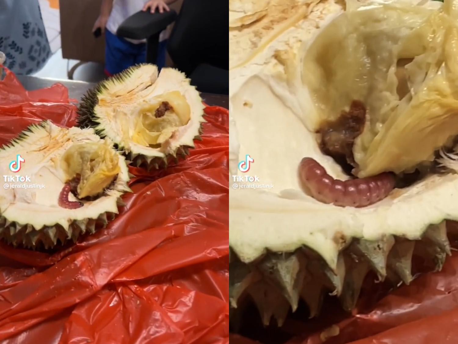 A critter that appears to be a type of caterpillar known as a durian fruit borer was found wriggling in the fruit by local radio DJ, Jerald&nbsp;Justin Ko's mother.