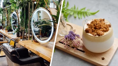 Where To Get Free Dalgona Coffee, Do Your Hair & Buy Plants At An Instagrammable Garden Salon In Orchard Road