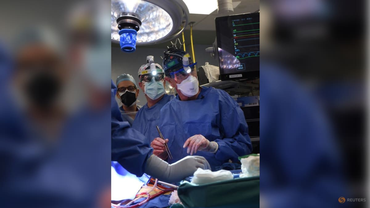 Pria AS pulih setelah ‘terobosan’ transplantasi jantung babi