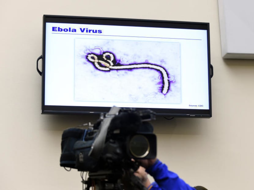 A photo of the Ebola virus is displayed on a television monitor during a hearing on the Ebola outbreak on Capitol Hill in Washington on Sept 17, 2014. Photo: AP