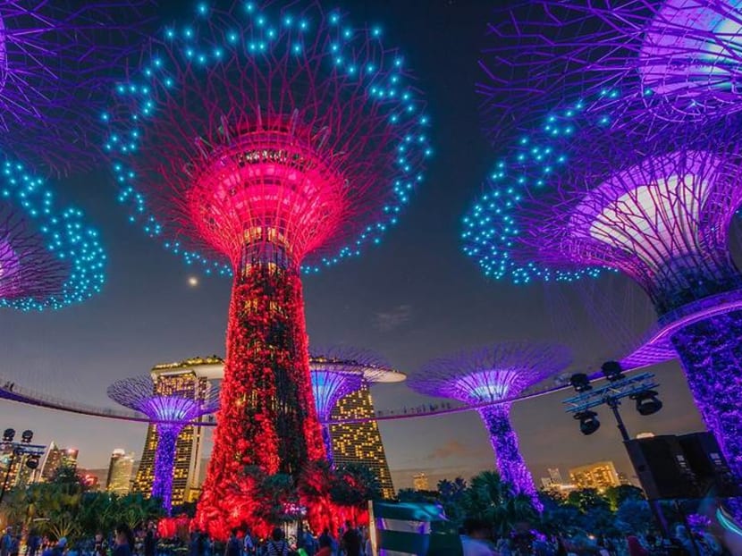 The show is back on: Supertrees light and sound display to return from Jan 8 The show is back on: Supertrees light and sound display to return from Jan 8