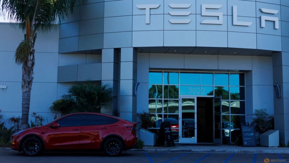 Tesla to double its components imports from India - Trade Minister - Vimarsana News