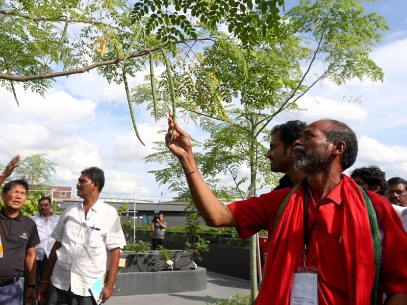 Farmers From Andhra Pradesh Draw Lessons From S’pore’s Urban Landscape ...