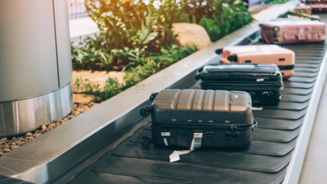 调查：串流平台电影和电视节目影响国人旅游决策