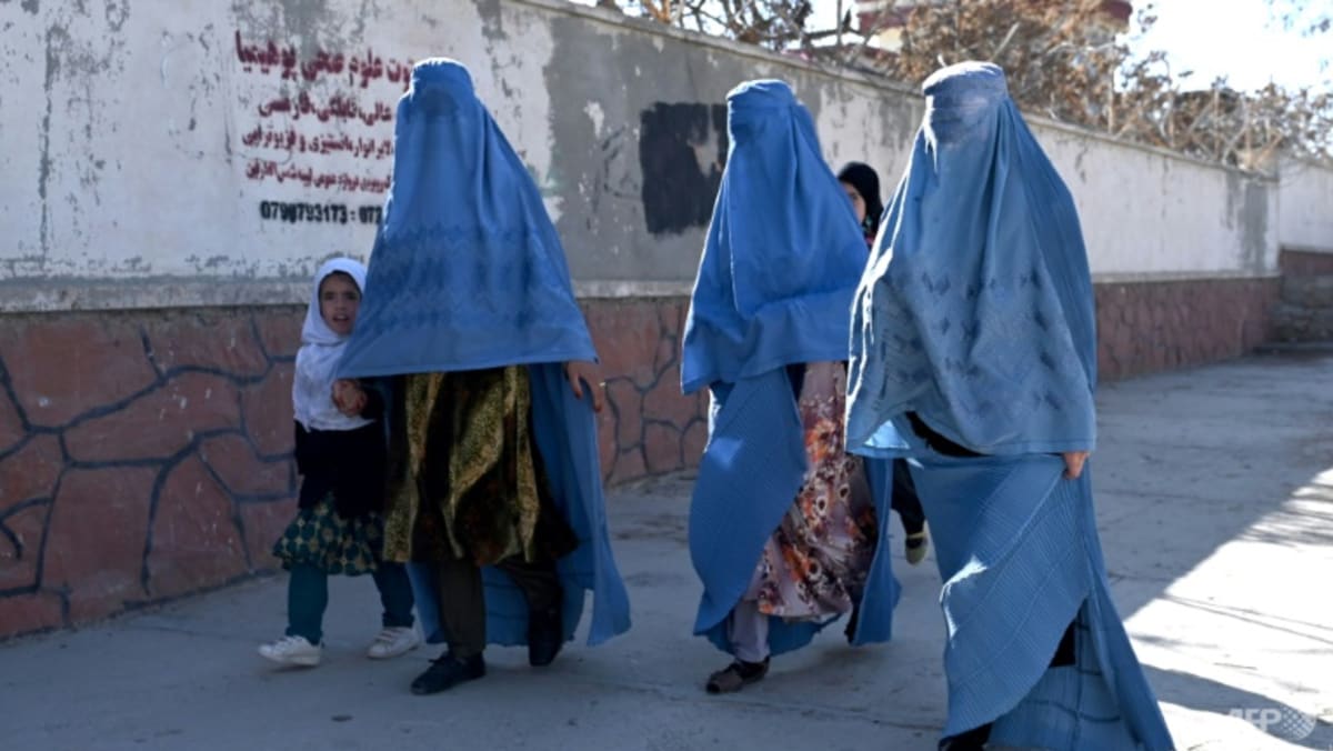 ‘Kami tidak bisa berfungsi’: LSM menolak larangan Taliban terhadap staf perempuan