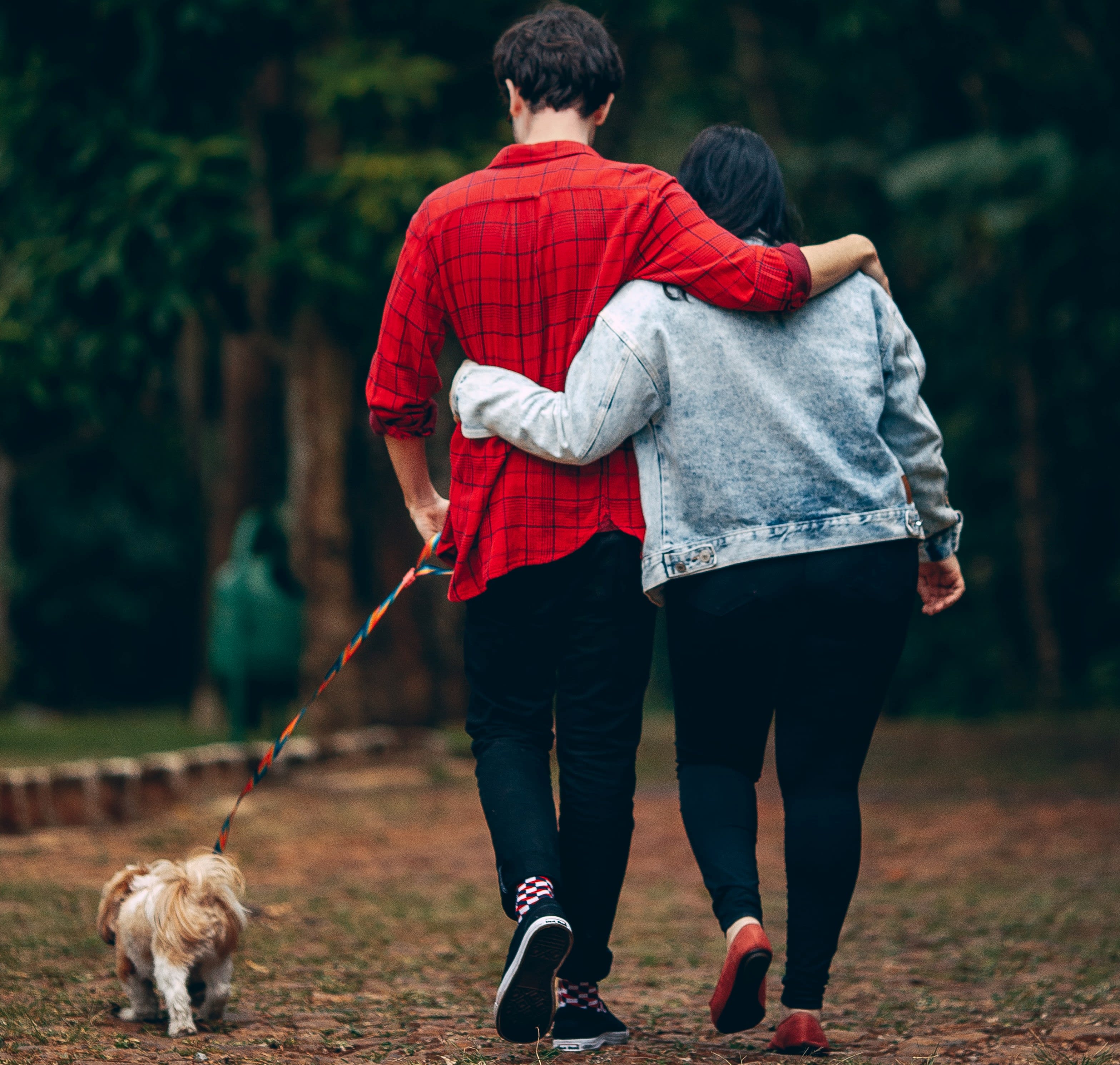 Must love dogs, and other lessons for the return to real-life dating