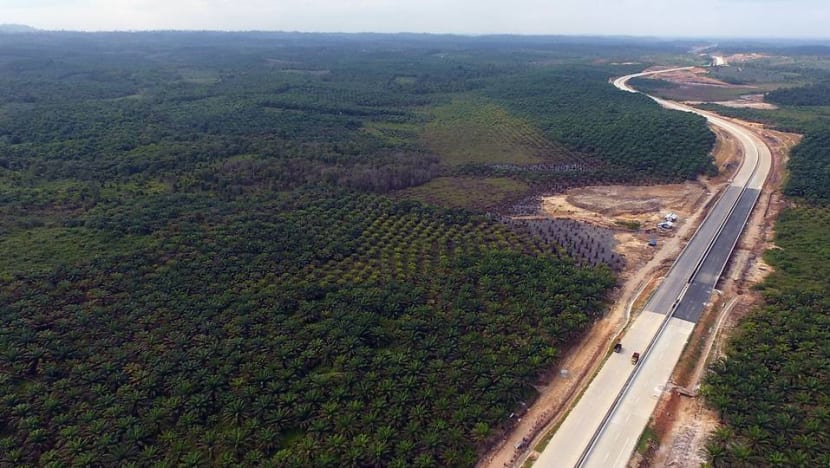 Indonesia minister announces name of new national capital in eastern Kalimantan Indonesia minister announces name of new national capital in eastern Kalimantan