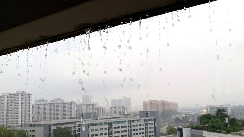 More rain expected for rest of October: Met Service