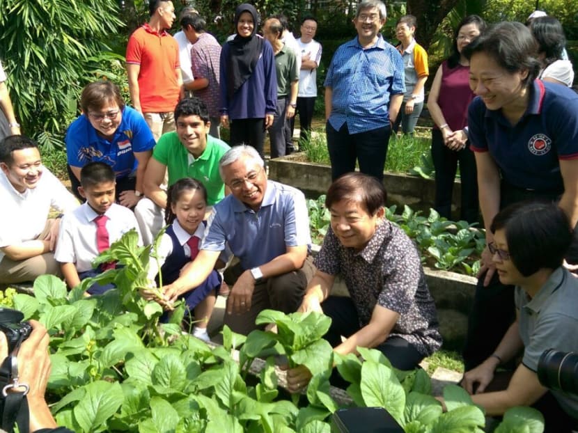 Minister Khaw Boon Wan with Mr Hawazi Daipi at the Marsiling Primary School community garden. Looking on are two of the 20 students that took part in the SG50 Green Harvest project.  Photo: Yvonne Lim