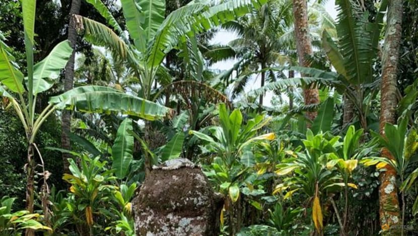 Genetic study reveals how ancient seafarers settled vast Polynesia Genetic study reveals how ancient seafarers settled vast Polynesia