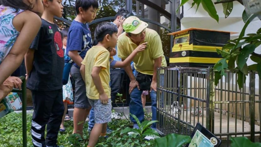 Sarang lebah buatan ditempatkan di Orchard Road