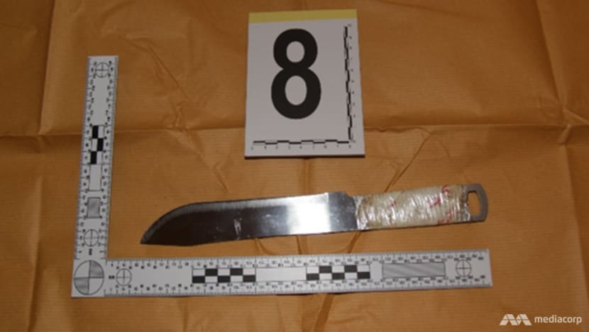 Man arrested for robbing woman at knifepoint in Geylang Man arrested for robbing woman at knifepoint in Geylang