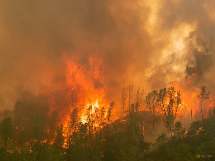 A California winemaker turned grapes ruined by wildfire smoke into vodka A California winemaker turned grapes ruined by wildfire smoke into vodka