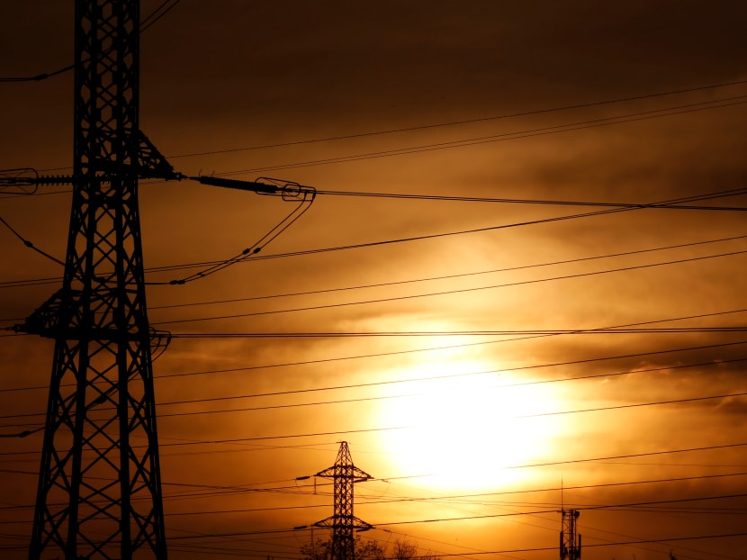 Currently, 95 per cent of Singapore’s electricity is provided by gas generators, 3 per cent from municipal waste, biomass and solar, and the remainder from fossil fuels. Currently, 95 per cent of Singapore’s electricity is provided by gas generators, 3 per cent from municipal waste, biomass and solar, and the remainder from fossil fuels.
