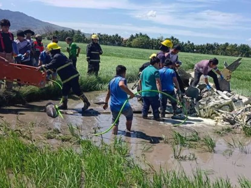 Trainer plane crashes in Philippines, killing 2 air force pilots Trainer plane crashes in Philippines, killing 2 air force pilots
