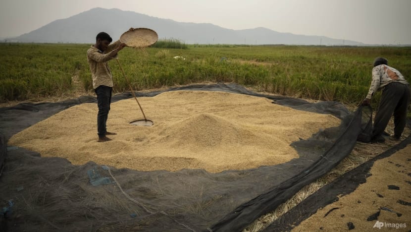 Commentary: India's rice export ban will damage its claim to lead the Global South