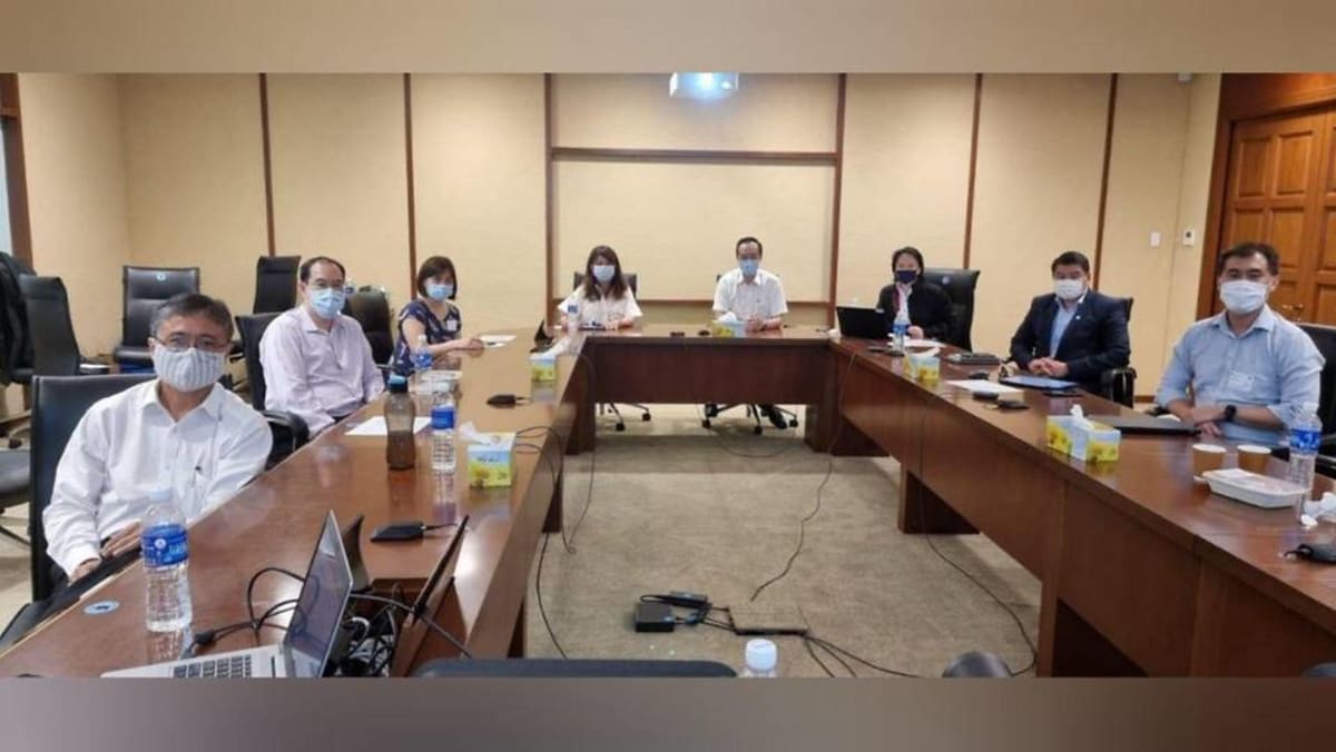 Komite pemerintah akan dibentuk untuk memeriksa pengelolaan Rencana Perisai Terpadu, dokter panel