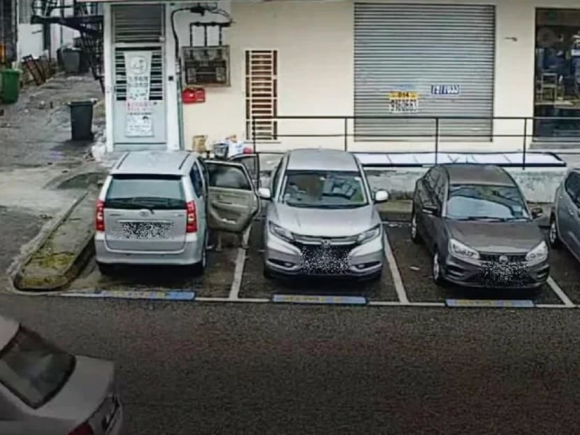Woman caught on CCTV urinating next to her car in carpark in Johor