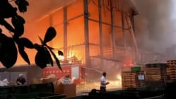 9 maut dalam kebakaran di kilang bola golf Taiwan