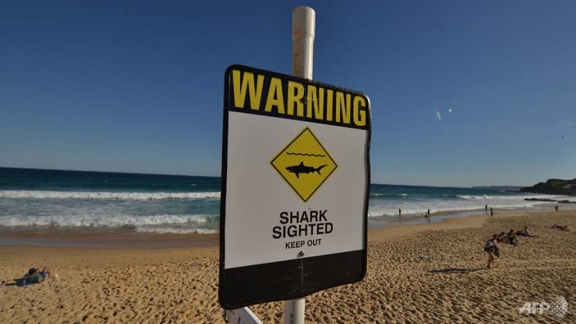 Diver dies in Australia shark attack