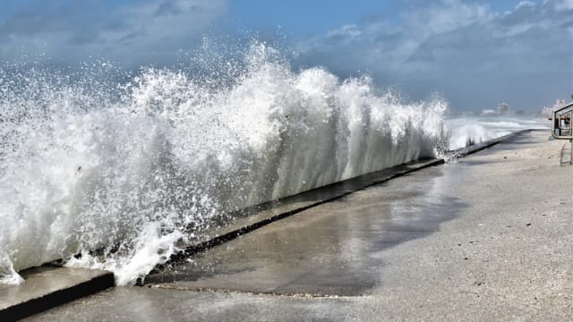 研究：海平面上升 将在30年内摧毁海岸栖息地