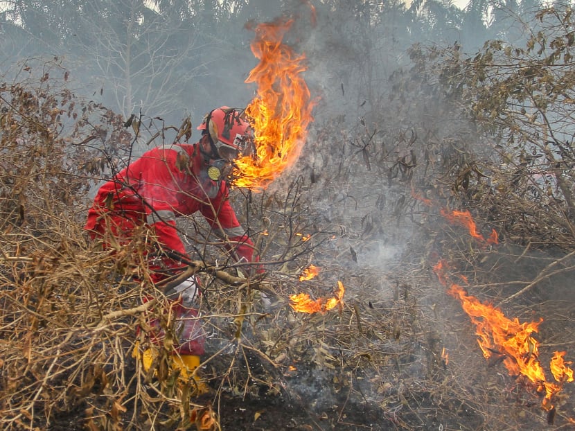 Firefighters try to extinguish a fire at a peatland in Kampar, Riau province, Indonesia. Noting that the transboundary haze pollution has been a perennial scourge for South-east Asia that has affected millions of people, Mr Masagos Zulkifli stressed that there is a need for stronger action to prevent its recurrence.