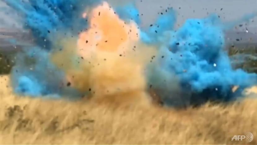 Commentary: Gender reveal parties have spiralled out of control Commentary: Gender reveal parties have spiralled out of control